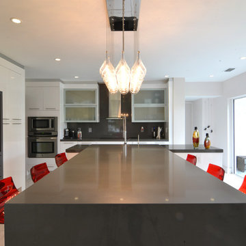 Cohen residence - Aventura, FL