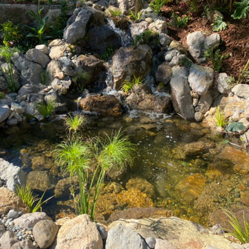 Encino Pond, Pondless Waterfall & Landscape Project