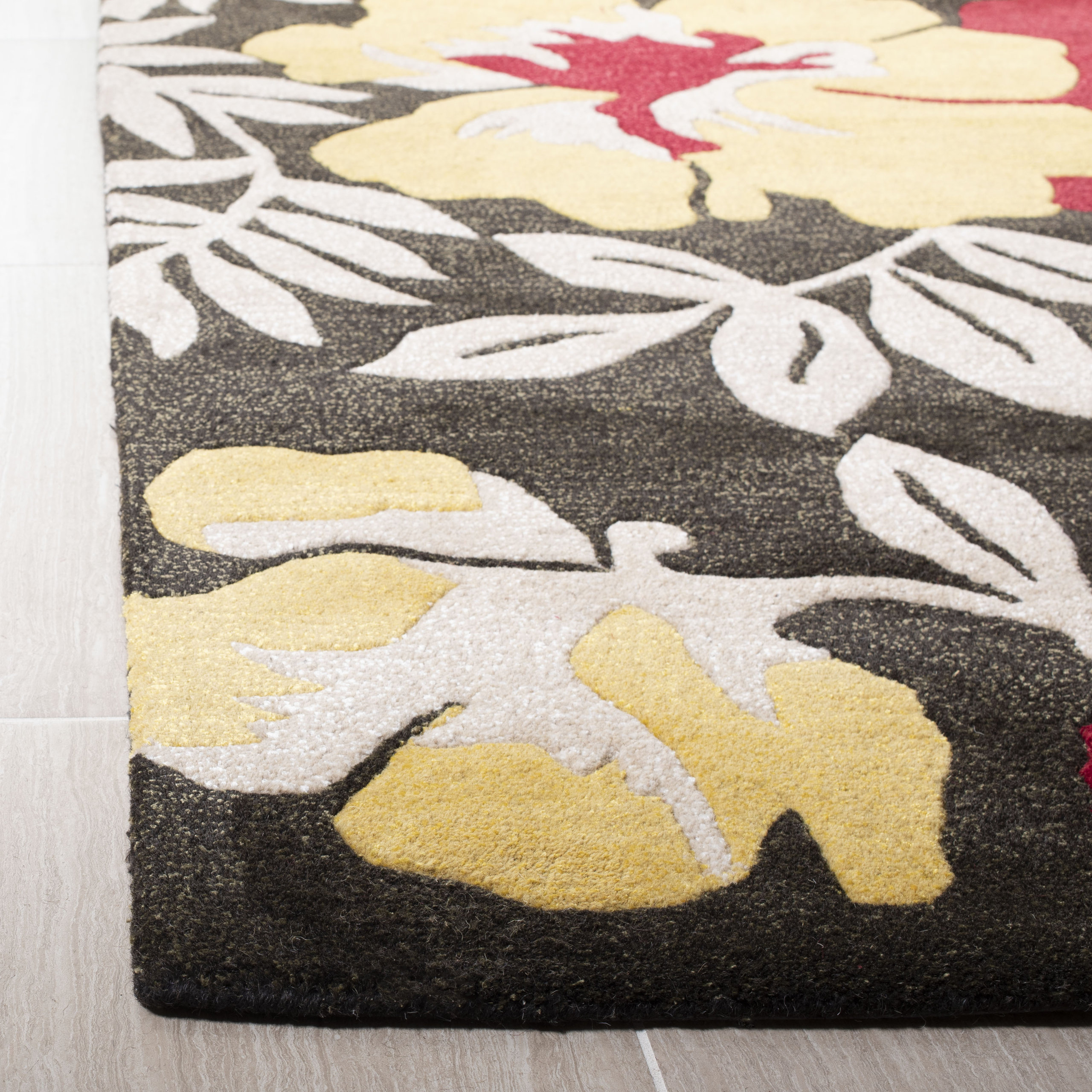 Safavieh SoHo Collection SOH838 Rug, 2'3"x4' - Contemporary - Area Rugs ...