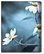 Wild Beauty II - Floral Art Canvas Print, Stone Blue, Large 30" X 40"