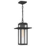 Quoizel - Quoizel RDL1509MB 1-Light Mini Pendant, Randall - Create a lasting impression with the Randall collection. Clear seeded glass panels are enclosed in a classic rectangular Mottled Black frame, providing life-long style and durability. Randall is a versatile piece that complements many indoor or outdoor settings.
