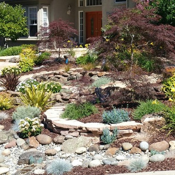 Low Water Gardens