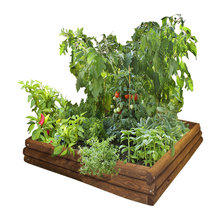raised bed