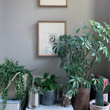 Décor De Plantes