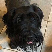 Fiona Macken's photo