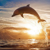 Misty Valentin's photo