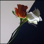 Manar Barakat's photo