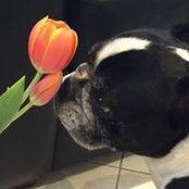 Karen Bonazinga's photo