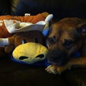 Laura Schrengohst's photo