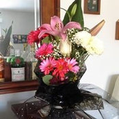 Debbie Toohey Flynn's photo