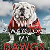 Sandra Drawdy's photo