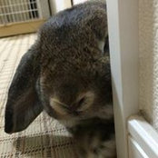 Foto von Michiyo Ono