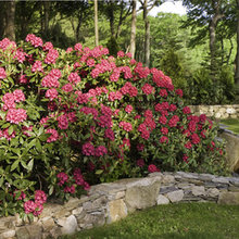 rock walls