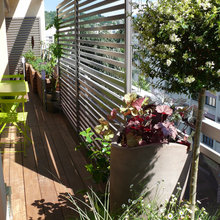 Sacramento garden