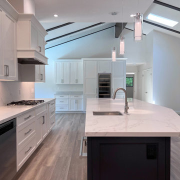Alamo Whole Home Remodel and Addition