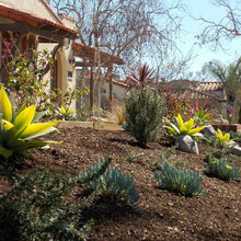 Landscape Ideas