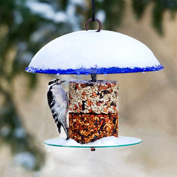 Bird Feeders