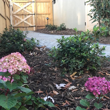 South End - Patio and Landscaping