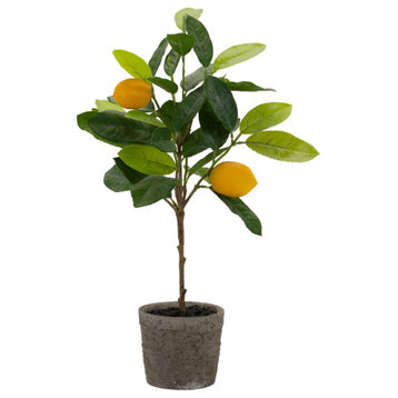 Potted Lemon Tree, 2-Piece Set
