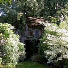 Aston Road Back Garden