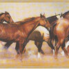 Horses Running Free Prepasted Wall Border Roll