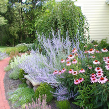 Cottage Frontyard