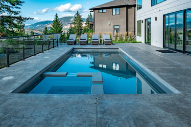 Inspiration for a small modern backyard concrete and rectangular hot tub remodel in Other