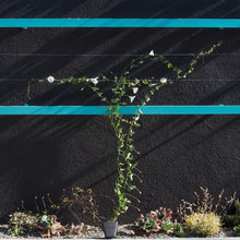 Trellises and Arbors