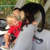 Kimberly LaBarbera's photo