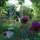 gardengazer