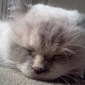 Erika Morton's photo