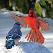 Connie Howell's photo