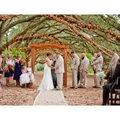 Brad Taylor's photo