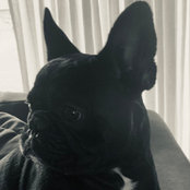 Katie Yarno's photo