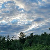 Wayne Berrend's photo