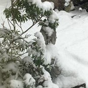 Vanda Mitchell's photo
