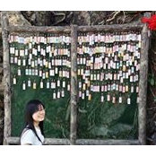 Shiyan Lim's photo