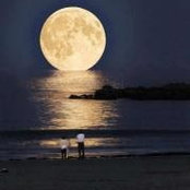 Ahmed Salem's photo