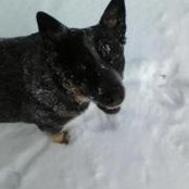 Barbara Hiltz's photo