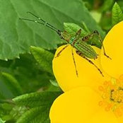 Stephanie Melito's photo