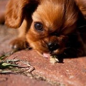 Sherri Smith's photo