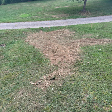 Stump removals