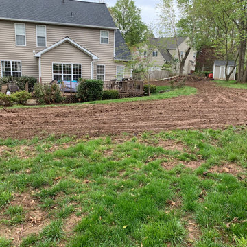 Lawn renovation