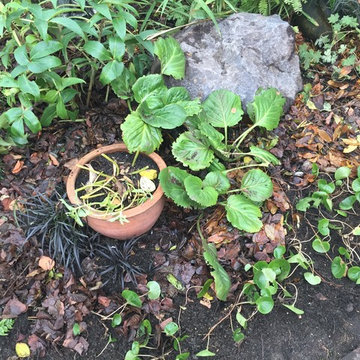 West Third Shade Bed Renovation + Maintenance