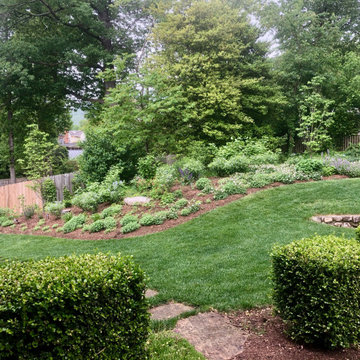 Carolina Avenue Project