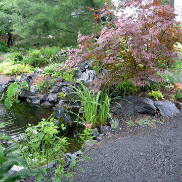 Suburban Side and Backyard Wonderland!