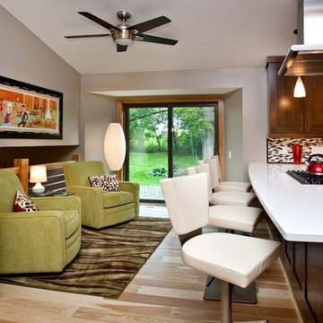 Fun Contemporary Kitchen and Built-In Bookshelves