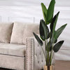 Serene Spaces Living 57 inches Banana Plant