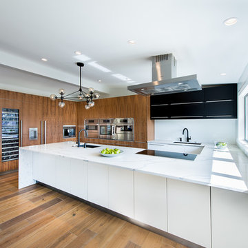 Flat Panel Walnut with Matte Acrylic custom IKEA kitchen