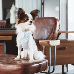 シック＆シンプルな犬用品 - 商品